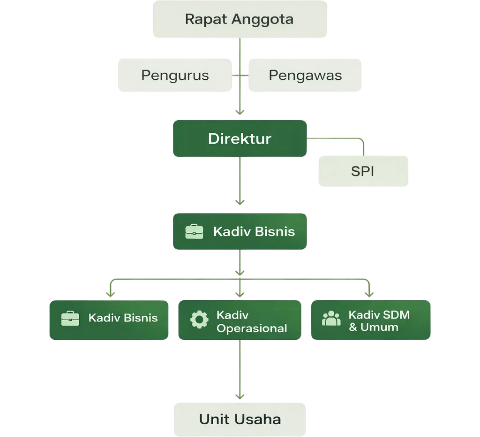 organization structure